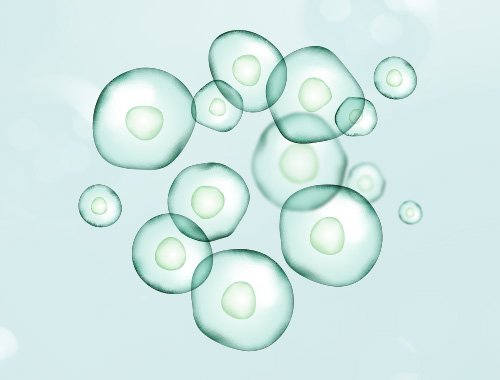 克隆形成(Colony Forming)